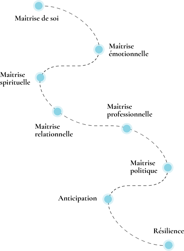 schema-voyage-resilience-mobile
